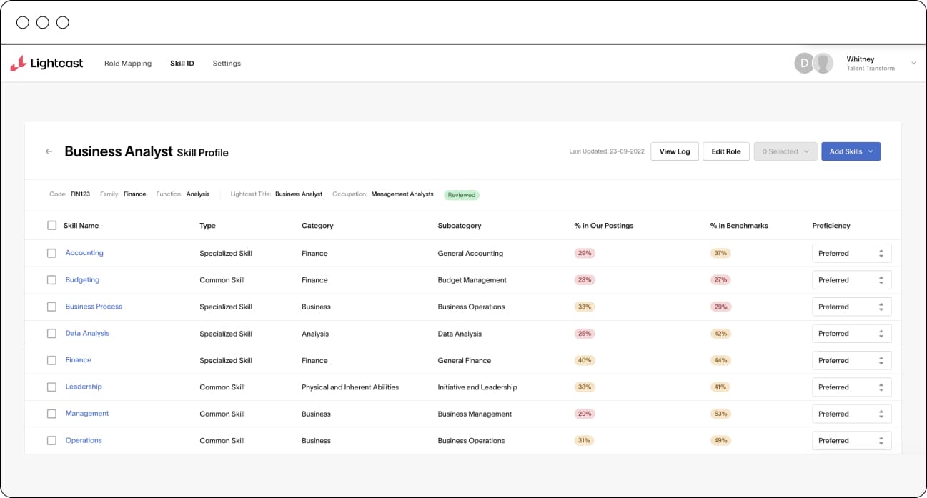 Business Analyst skill profile